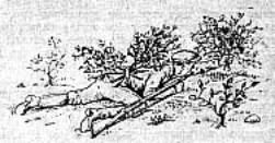 Маскировка